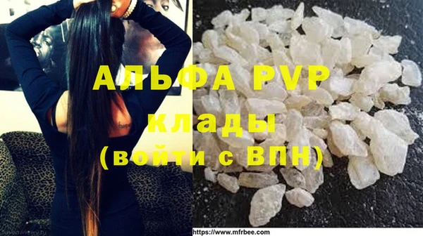 ПСИЛОЦИБИНОВЫЕ ГРИБЫ Семёнов