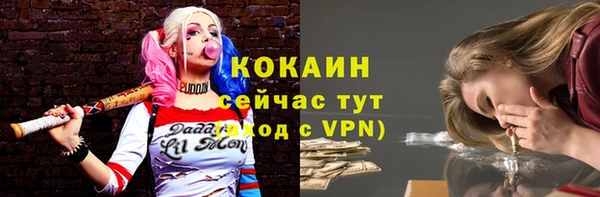 ПСИЛОЦИБИНОВЫЕ ГРИБЫ Семёнов