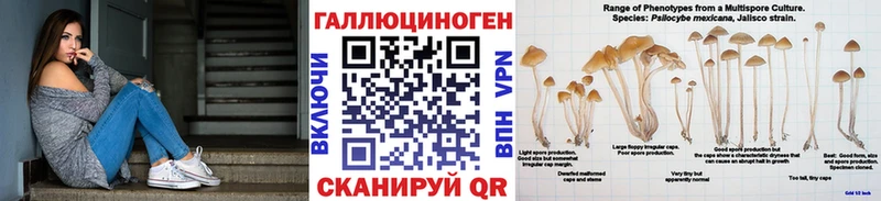 Псилоцибиновые грибы мицелий  Галич 